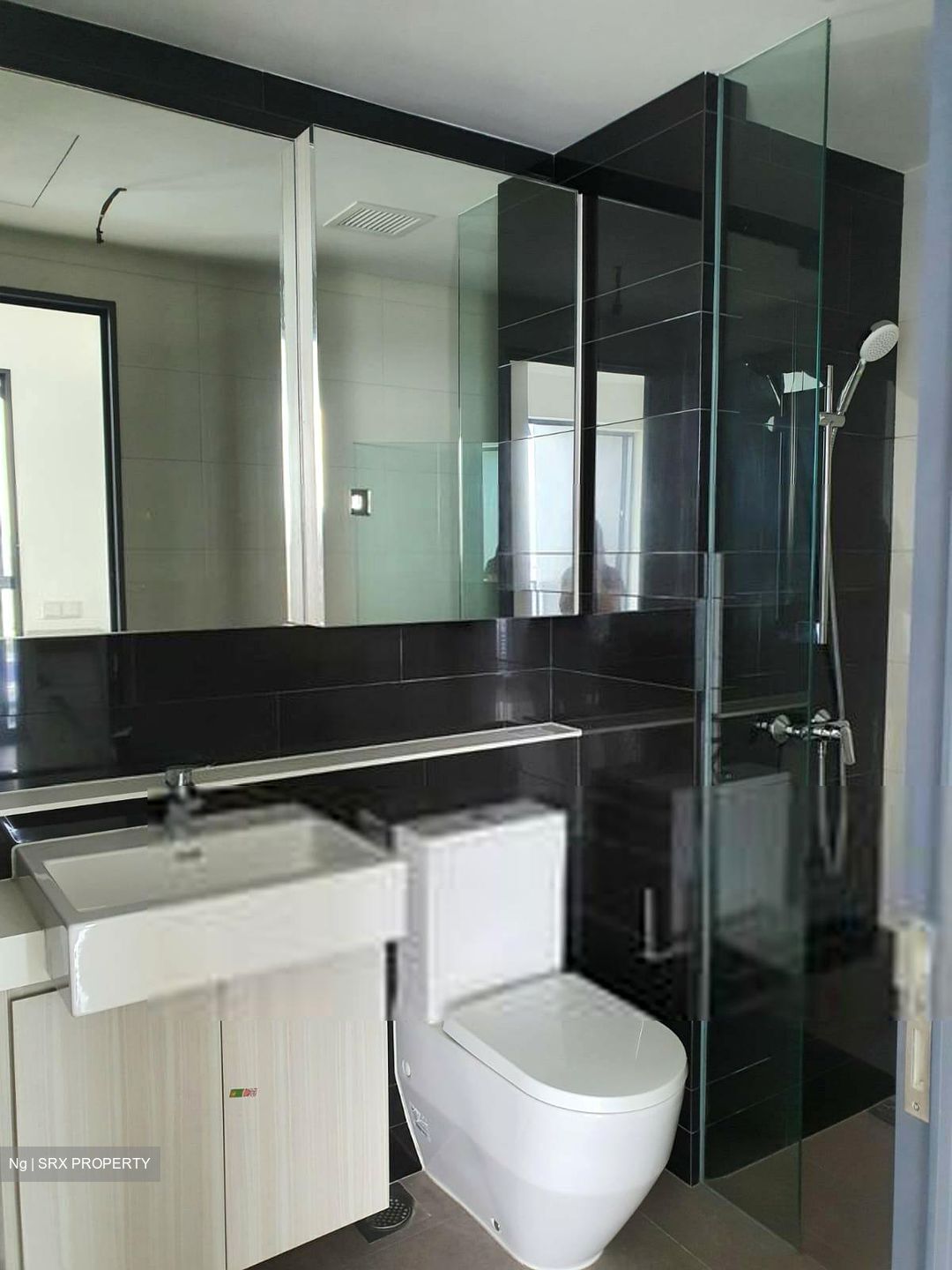 Gem Residences (D12), Condominium #284117521